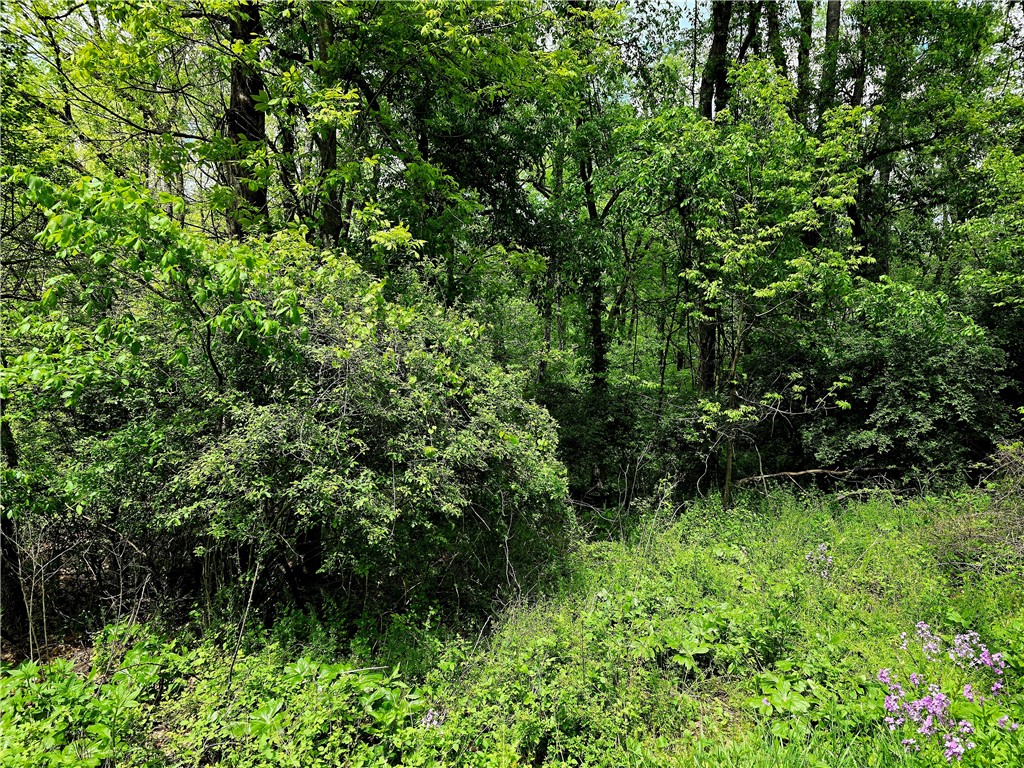 Lot 134 Brokers Lane