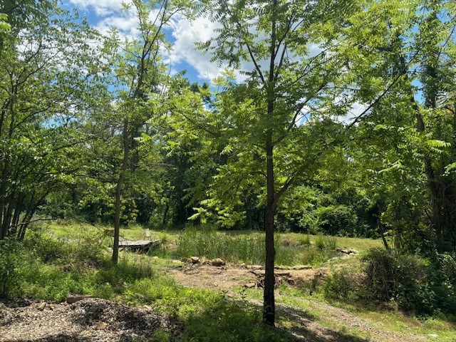 South Strabane, Pennsylvania 15301, United States, ,Residential,Active,53790