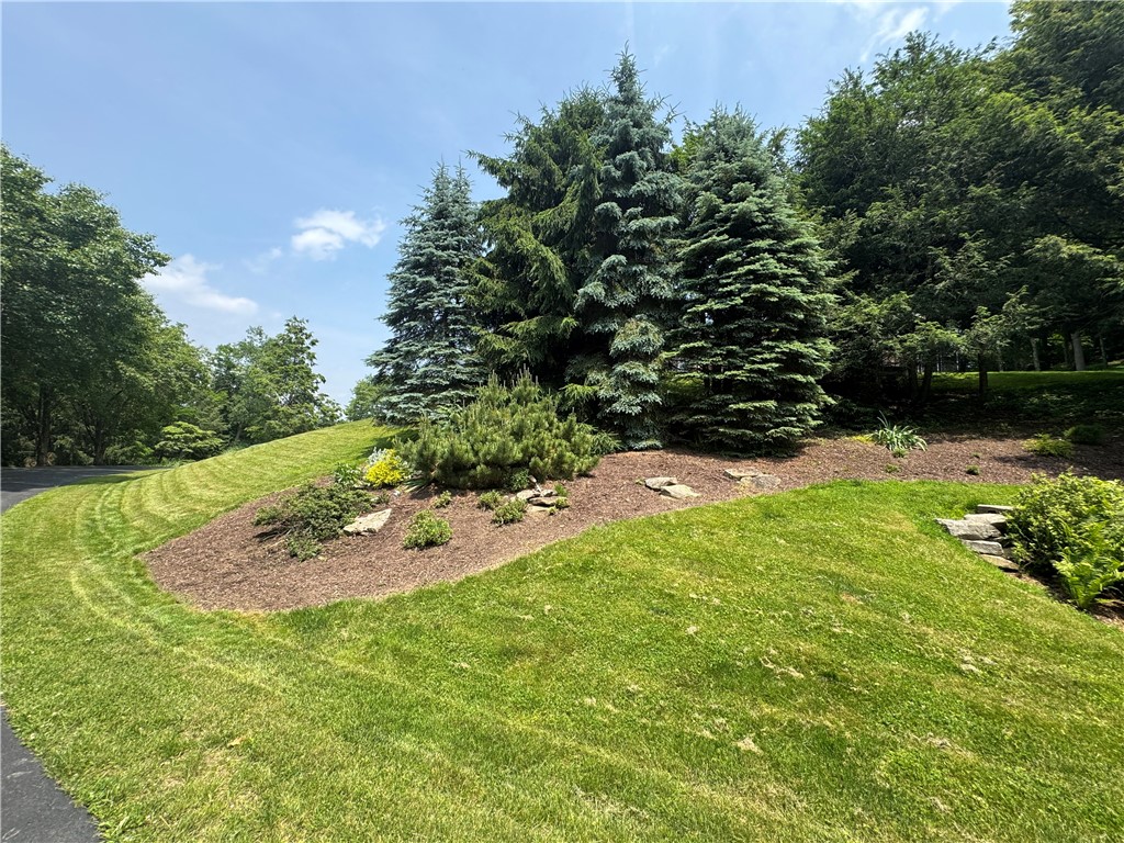 White Twp, Pennsylvania 15701, United States, 4 Bedrooms Bedrooms, ,4 BathroomsBathrooms,Residential,Active,219661