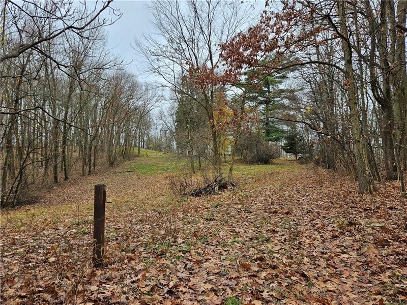 A Pennylvania Ave, New Stanton, Pennsylvania image 12