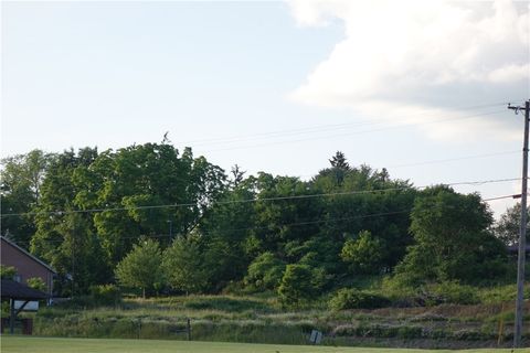 Unimproved Land in Center Twp - BUT PA 1647/1649 Rt 8.jpg
