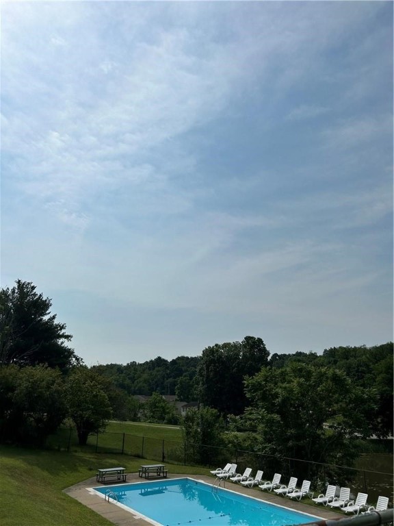 Sassafra, N Franklin Twp, Pennsylvania image 6