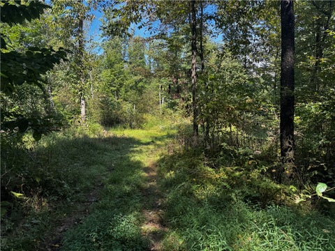 Vacant Land For Sale - 00 Slatertown Rd<br/> Victory Twp, PA 16342