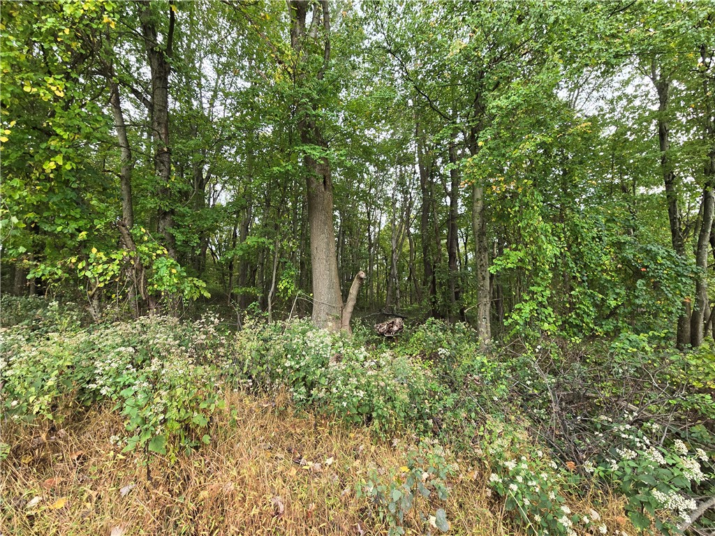 000 Lot 23 Dally Road