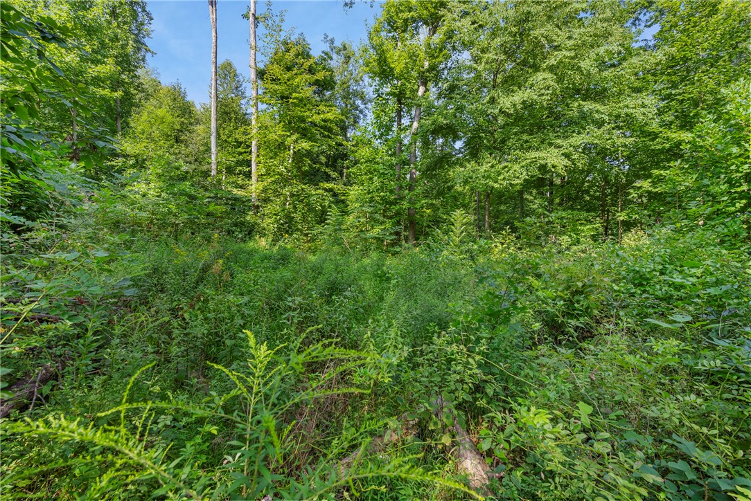 W Prospect Rd (pa-528), Brady Twp - BUT, Pennsylvania image 11