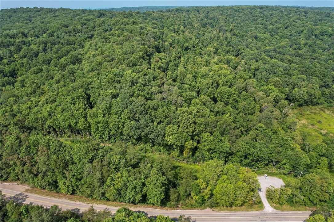 W Prospect Rd (pa-528), Brady Twp - BUT, Pennsylvania image 16