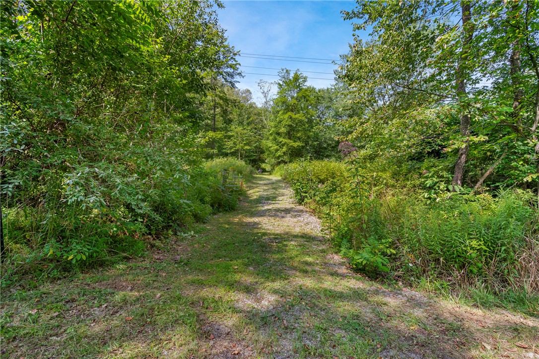 W Prospect Rd (pa-528), Brady Twp - BUT, Pennsylvania image 4