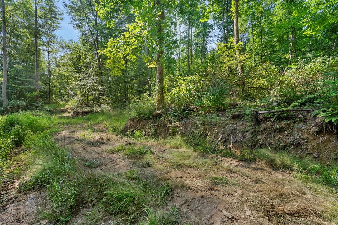 W Prospect Rd (pa-528), Brady Twp - BUT, Pennsylvania image 10