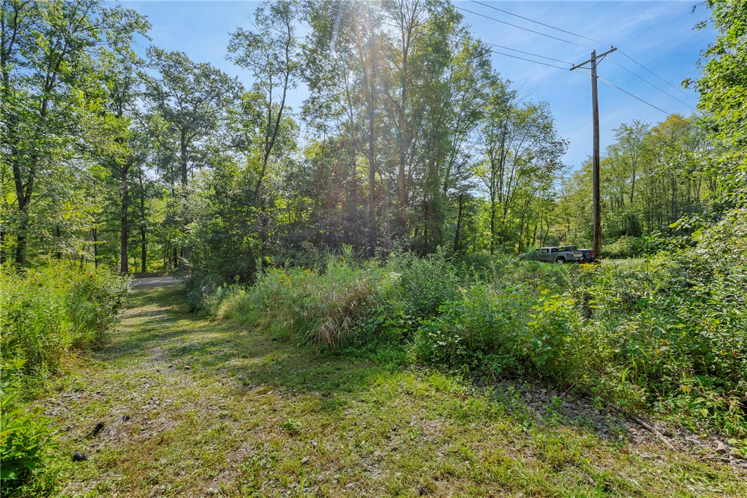 W Prospect Rd (pa-528), Brady Twp - BUT, Pennsylvania image 6