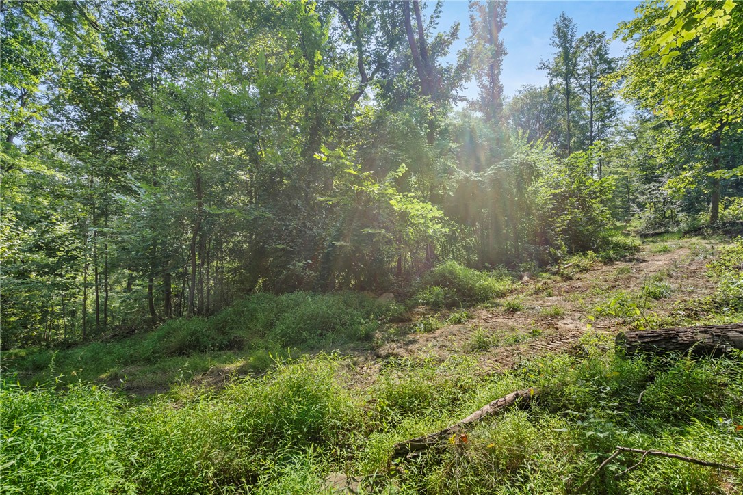 W Prospect Rd (pa-528), Brady Twp - BUT, Pennsylvania image 13