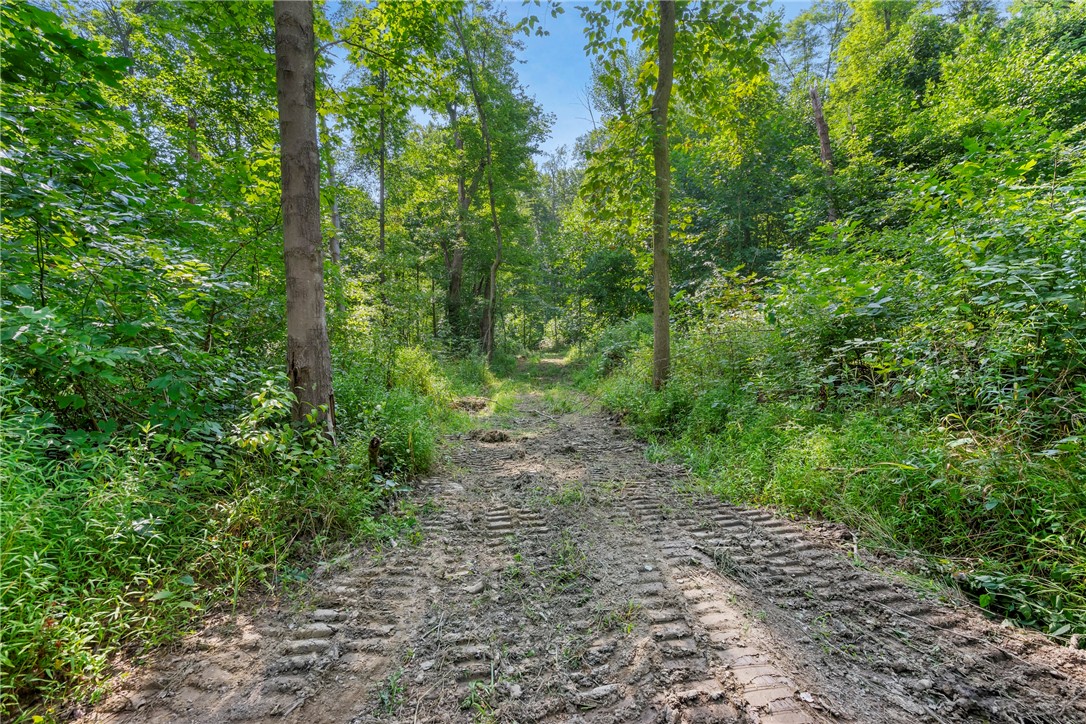 W Prospect Rd (pa-528), Brady Twp - BUT, Pennsylvania image 9