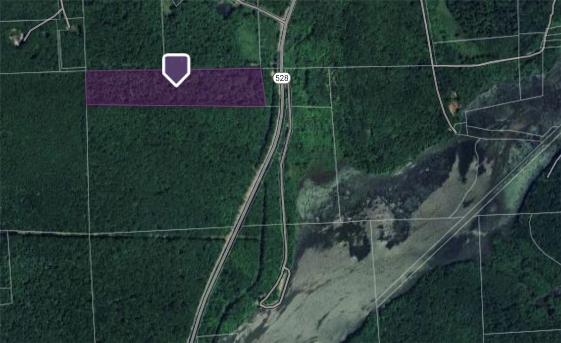 W Prospect Rd (pa-528), Brady Twp - BUT, Pennsylvania image 21