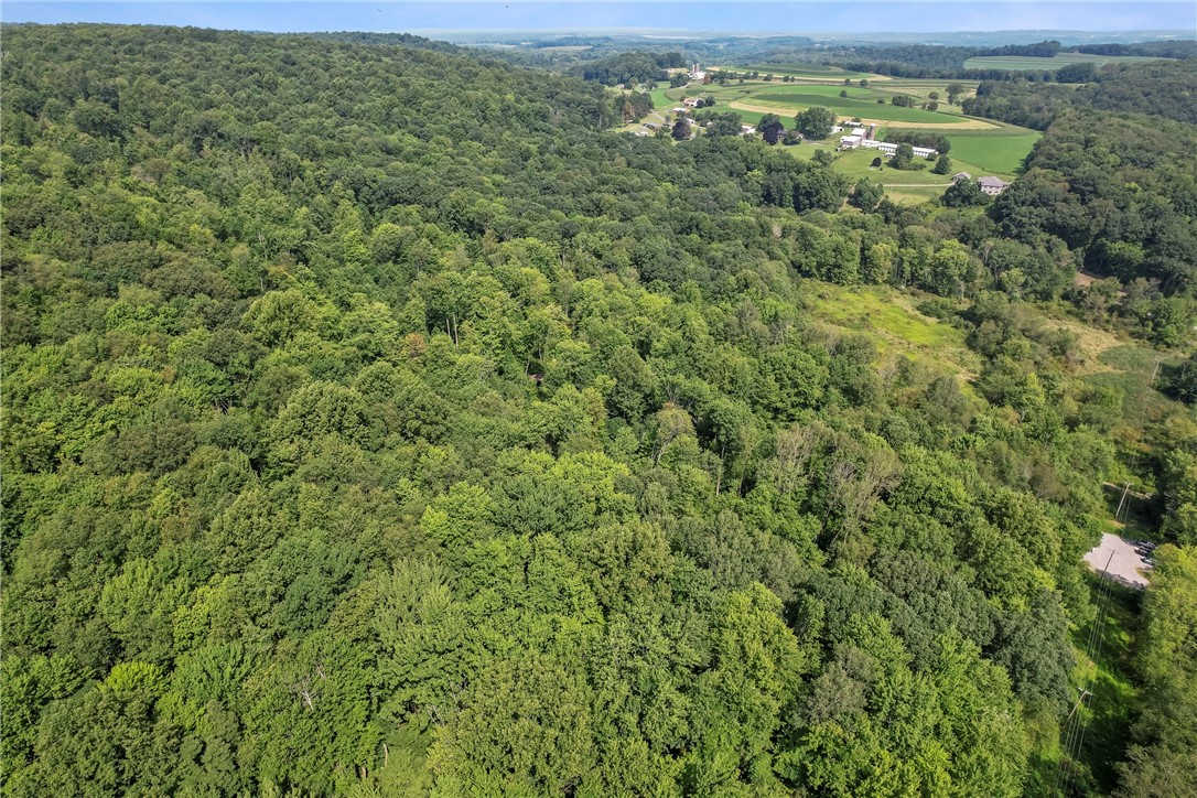 W Prospect Rd (pa-528), Brady Twp - BUT, Pennsylvania image 20