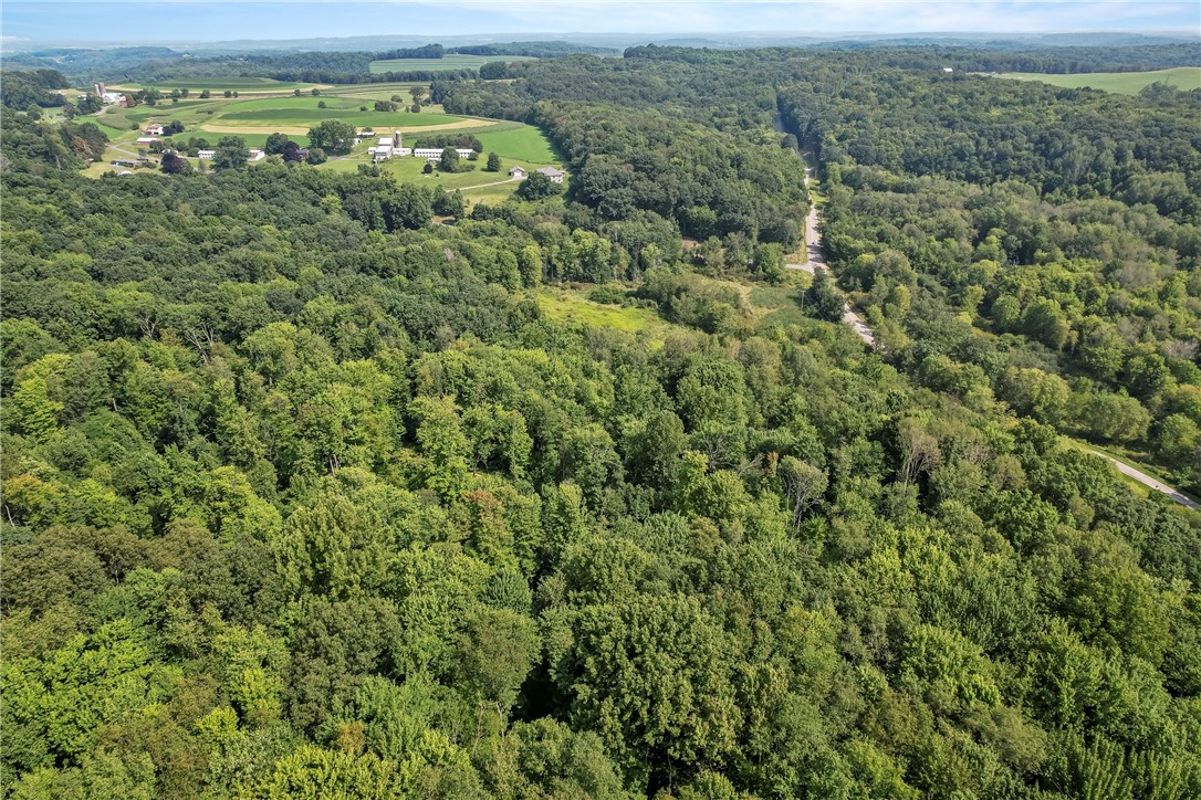 W Prospect Rd (pa-528), Brady Twp - BUT, Pennsylvania image 19