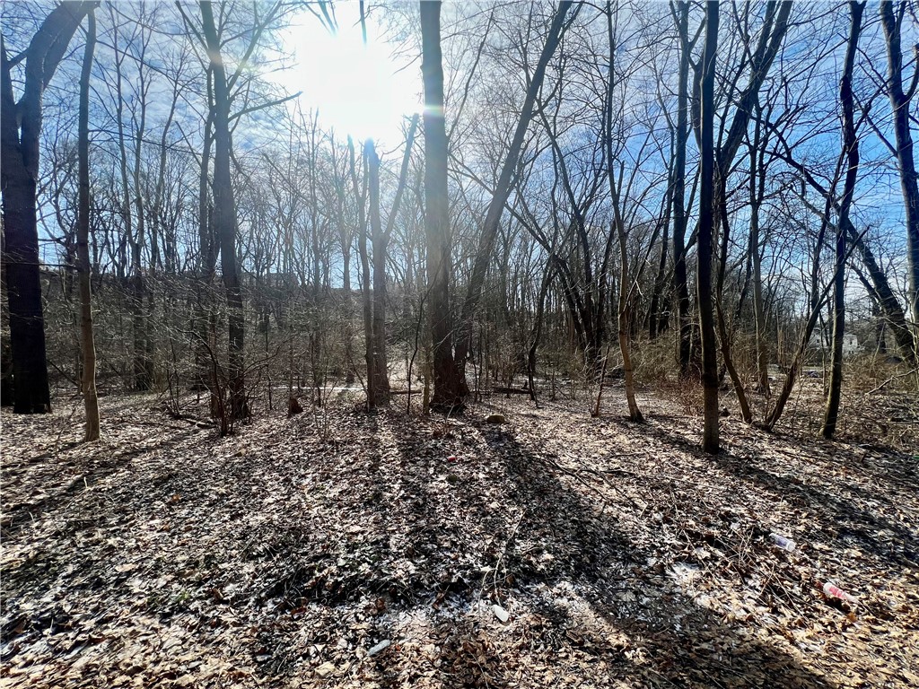 0 W Laurel Ave