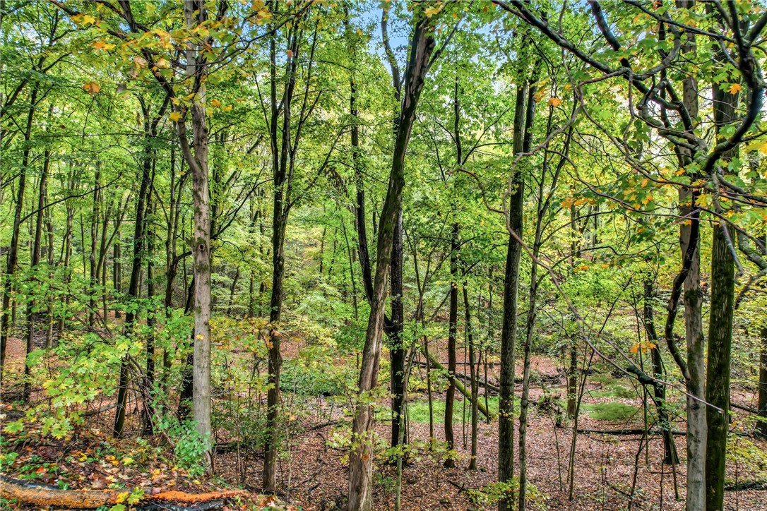 Hempfield Twp, Pennsylvania 16125, United States, 2 Bedrooms Bedrooms, ,1 BathroomBathrooms,Residential,Active,218703