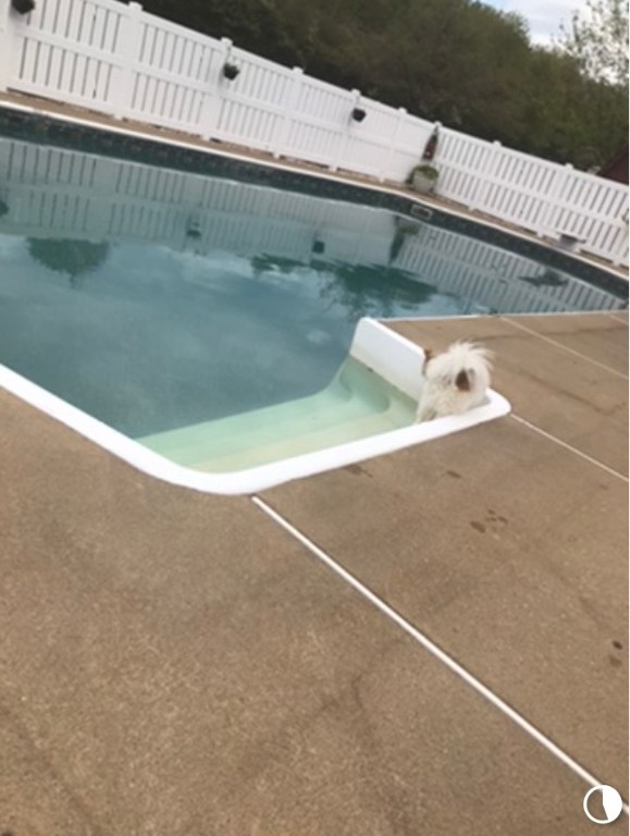 New Stanton, Pennsylvania 15672, United States, 4 Bedrooms Bedrooms, ,3 BathroomsBathrooms,Residential,Active,228015