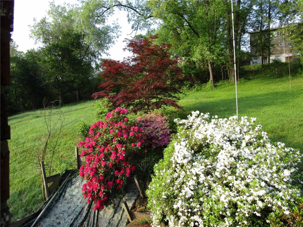 4596 Echo Glen Dr Dr, Whitehall, Pennsylvania image 23