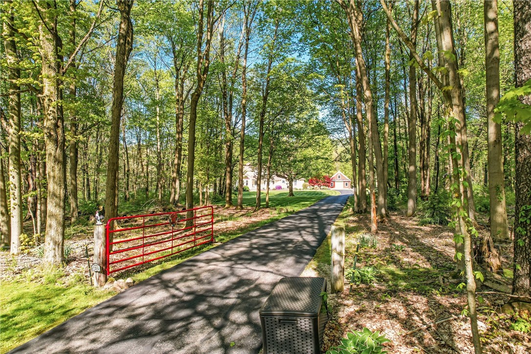 Conneaut Lake - Cra, Pennsylvania 16316, United States, 4 Bedrooms Bedrooms, ,4 BathroomsBathrooms,Residential,Contingent,128363