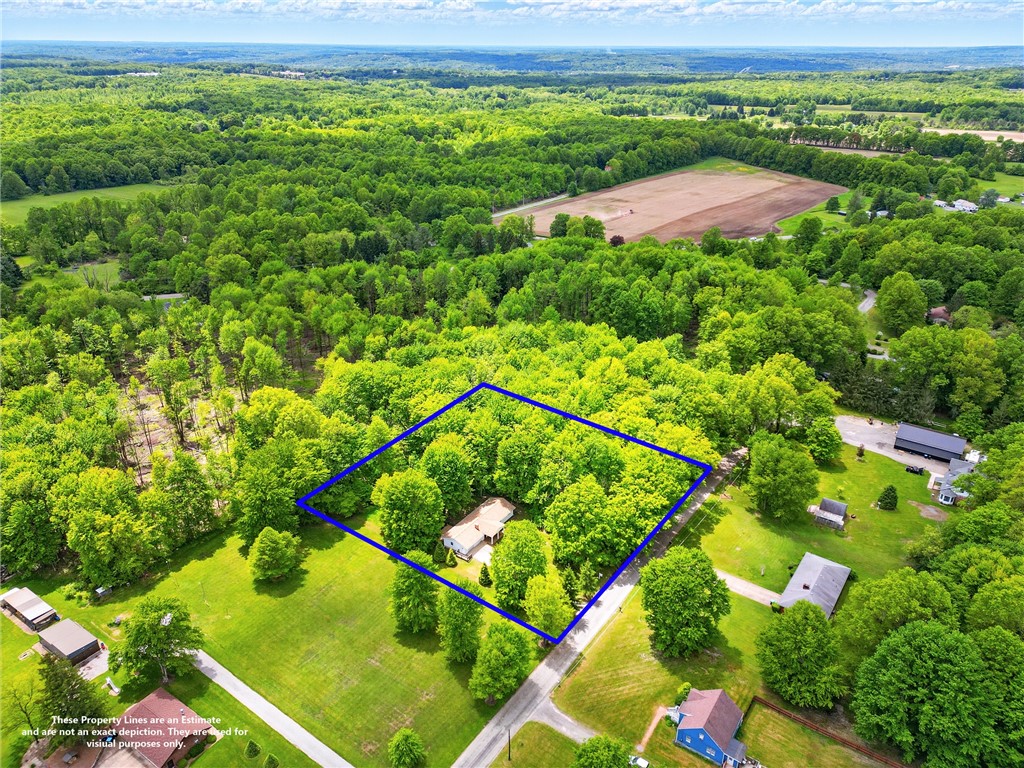5890 Wise Rd. Rd, Hermitage, Pennsylvania image 33