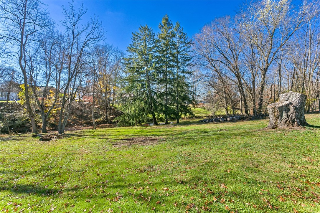 409 Old Town Rd Dr, Carmichaels/Cumblnd, Kentucky image 9