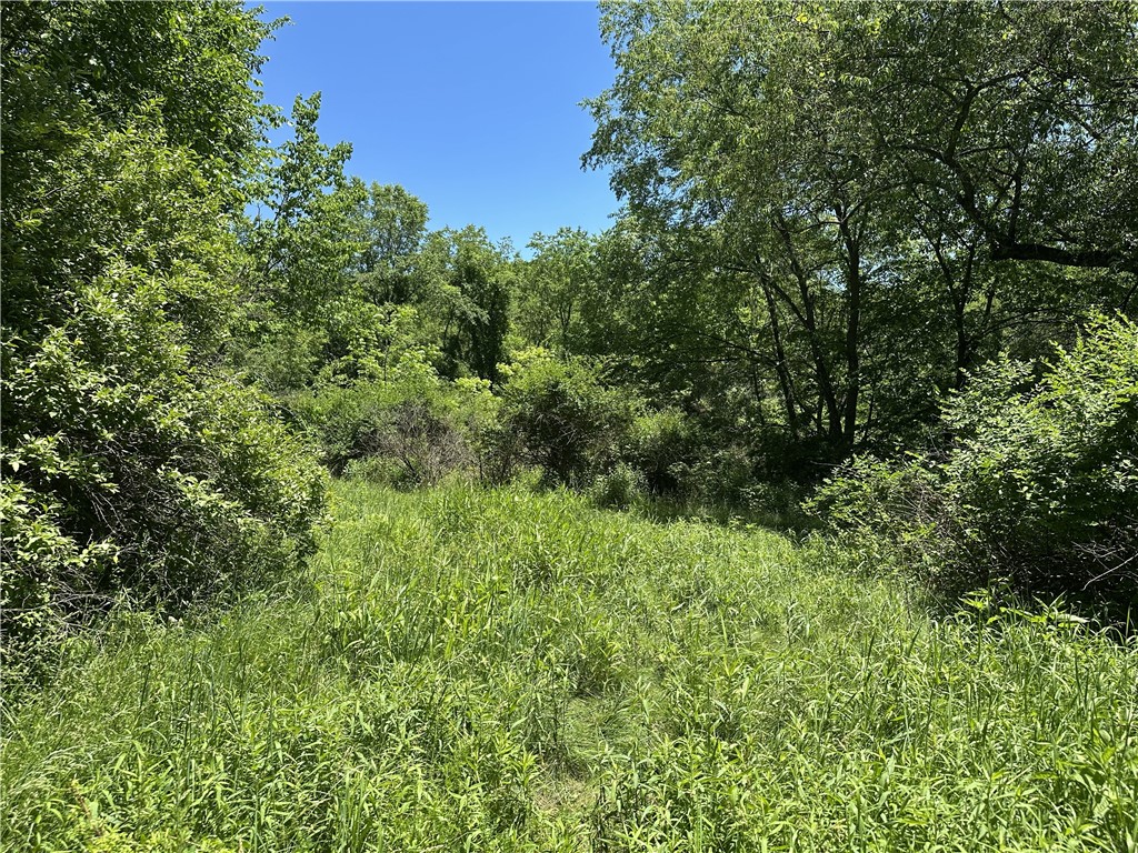 437 Upper Service Rd