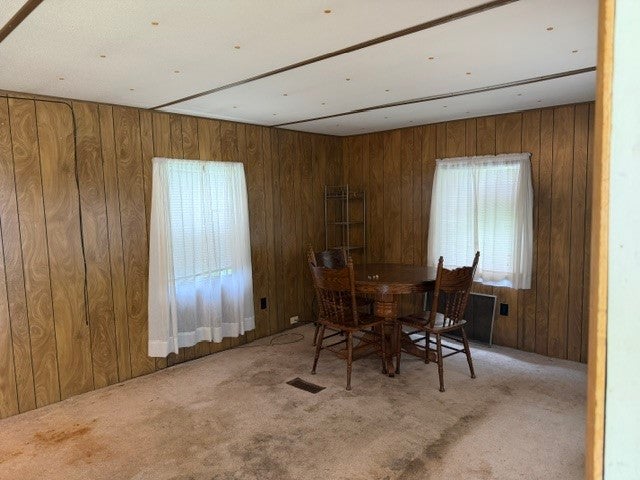 210 Jill Dr 60