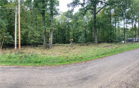 Vacant Land For Sale - 3rd St<br/> Espyville, PA 16424
