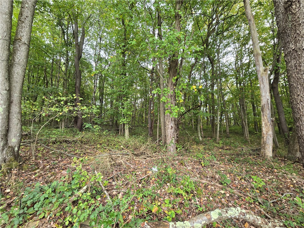 000 Lot 22 Dally Road