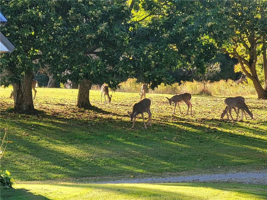 Other, Pennsylvania 16353, United States, 5 Bedrooms Bedrooms, ,2 BathroomsBathrooms,Residential,Active,227110