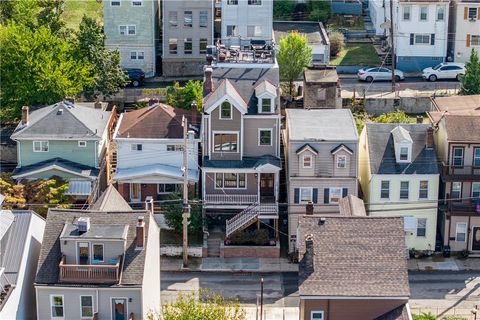 110 Pius Street. South Side PA 15203