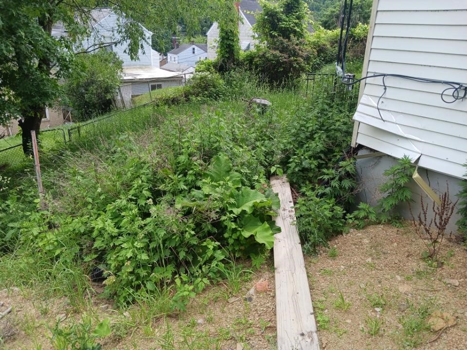 109 Griffith St, Millvale, Pennsylvania image 3