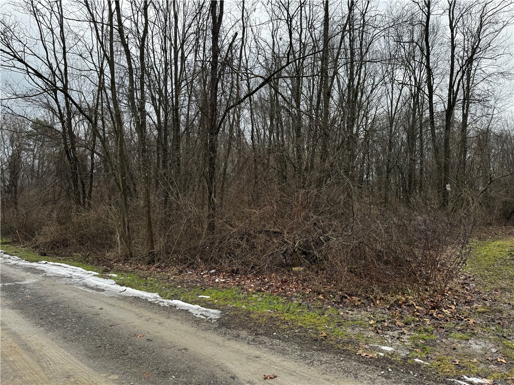 Union Twp - Law, Pennsylvania 16101, United States, ,Residential,Active,4805