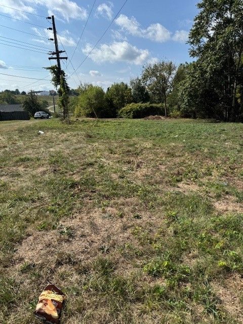 Vacant Land For Sale - Fayette & Atlas<br/> Canton, PA 15301