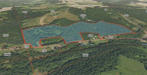 56 Acres ± Along Juneau Road Canoe Banks Twp PA 15767