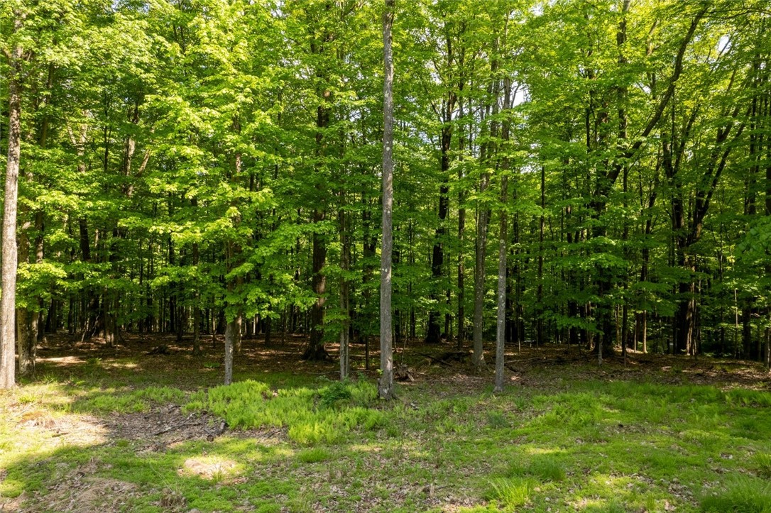 13A 210 Crooked Island Rd.