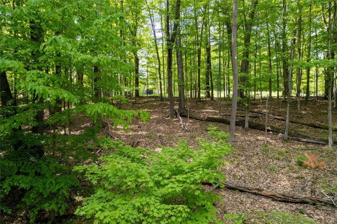 13A 210 Crooked Island Rd.