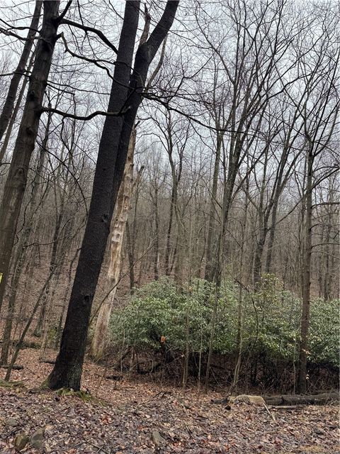 Photo of 0 Spruce Hollow Road, Connellsville, PA 15425 (MLS # 1742476)