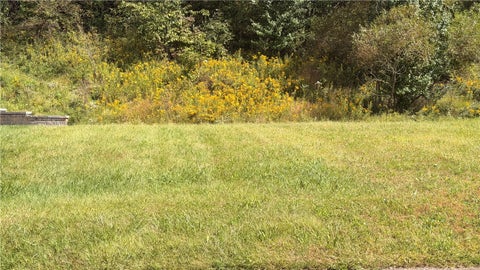Photo for 519 Dogwood Court