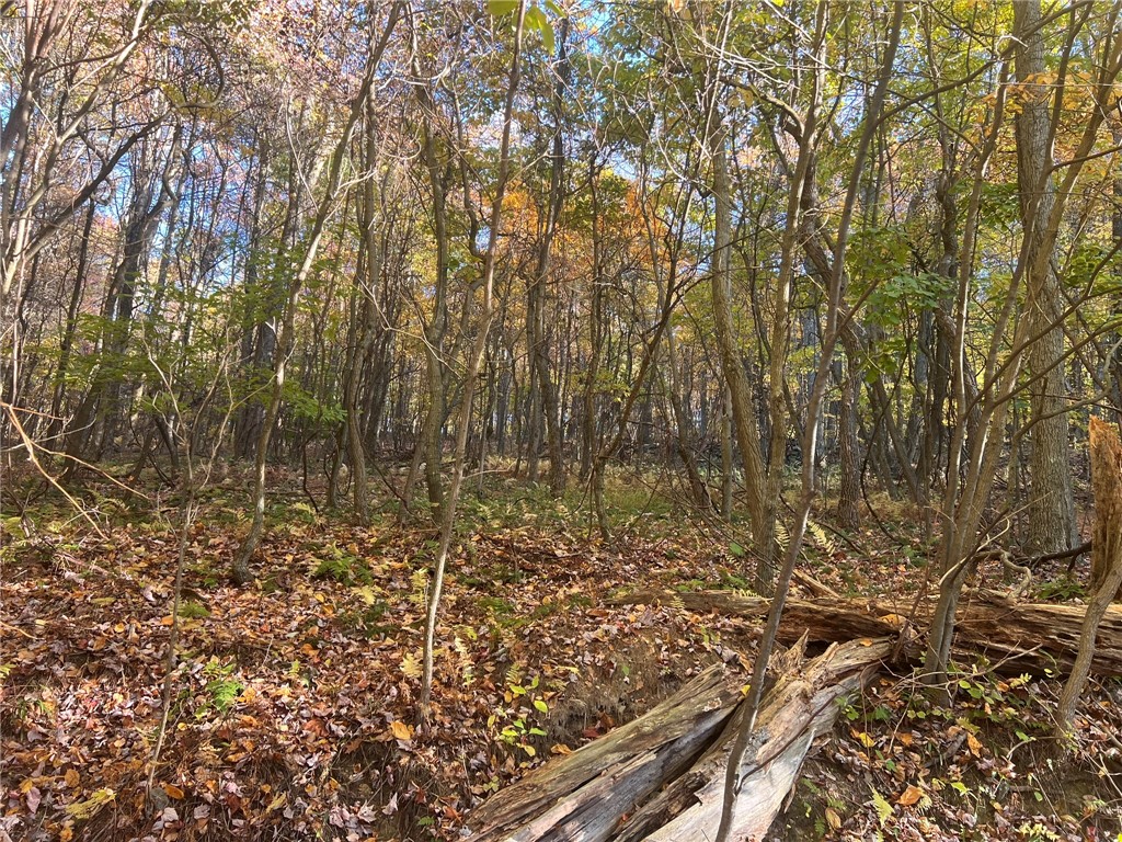 76 Acres along Braughler Road