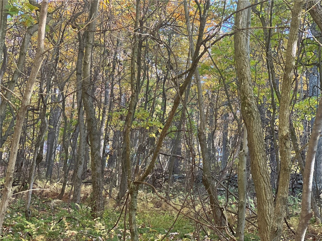 76 Acres along Braughler Road