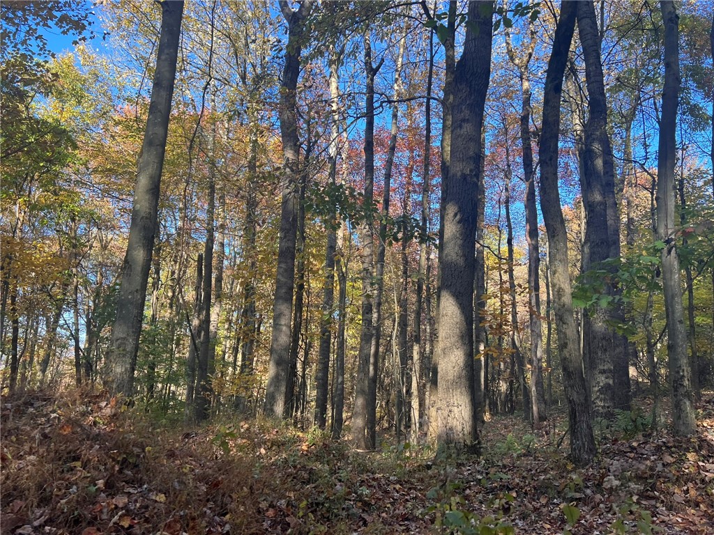 76 Acres along Braughler Road