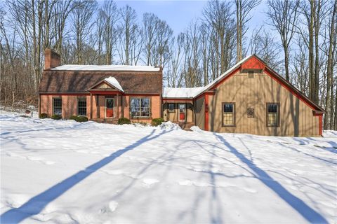 Photo of 1725 Mount Jackson Rd, Enon Valley, PA 16120 (MLS # 1740616)