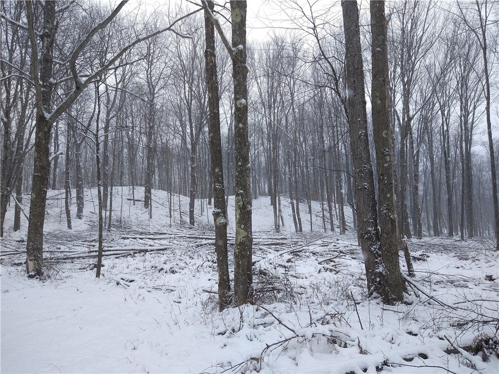 4517 Fire Tower Road Cir, Prospect, Kentucky image 34