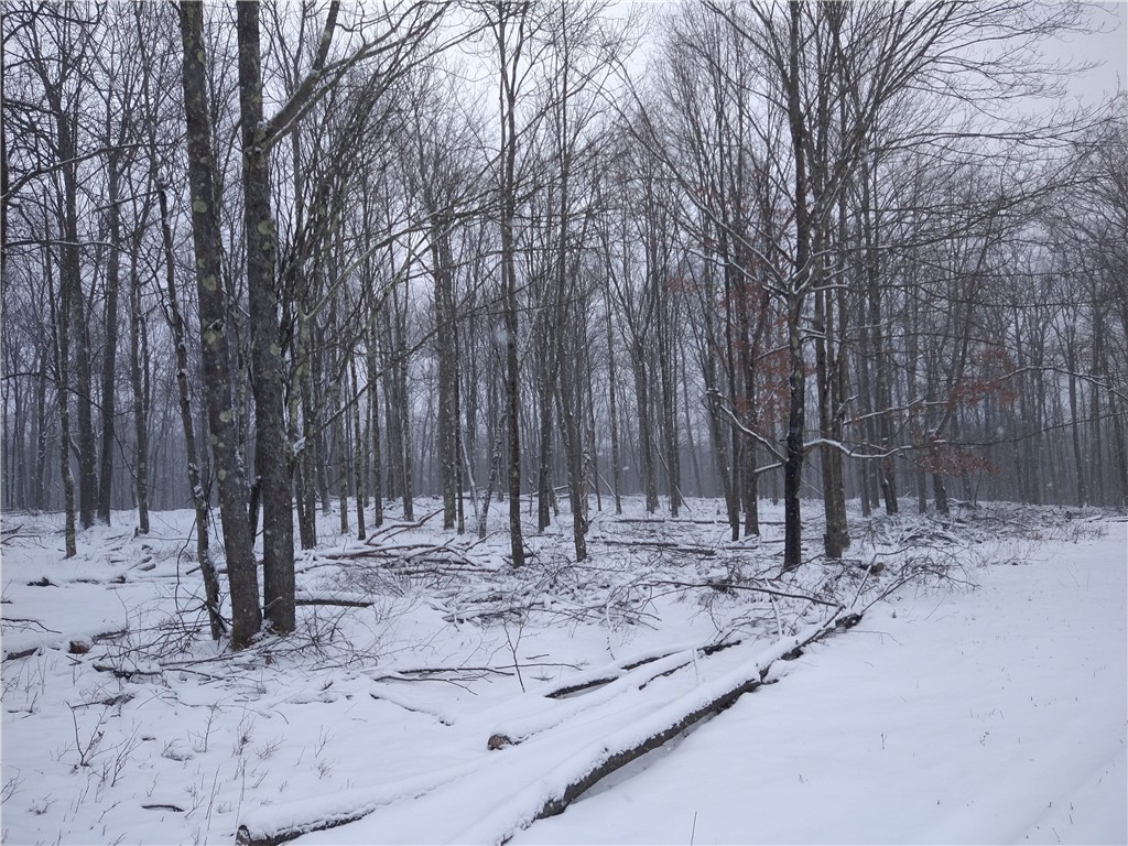 4517 Fire Tower Road Cir, Prospect, Kentucky image 33