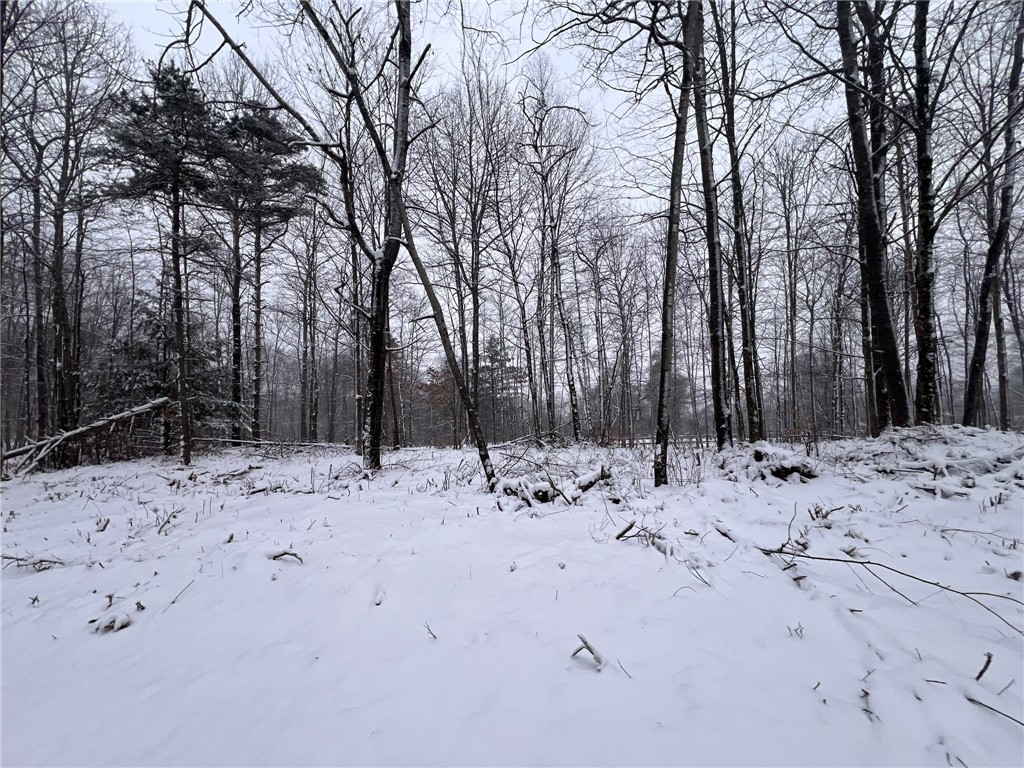 4517 Fire Tower Road Cir, Prospect, Kentucky image 15
