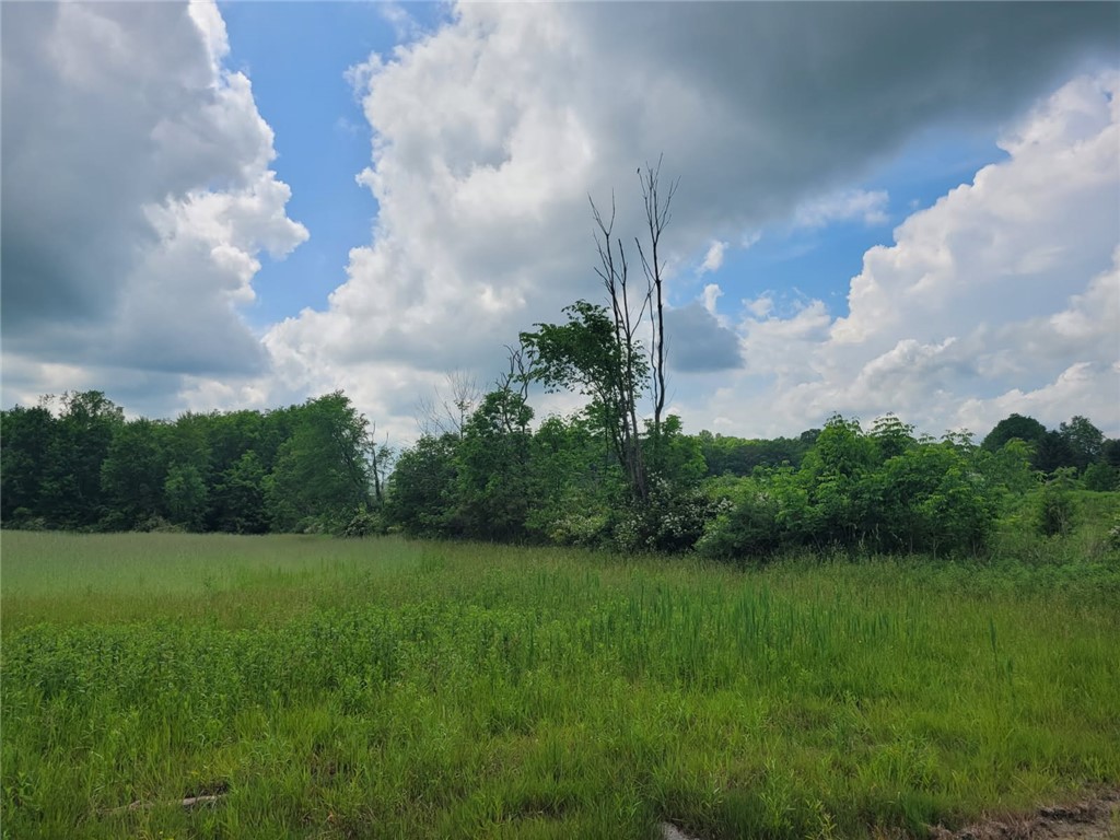00 Crill Rd / Silverbrook Lane