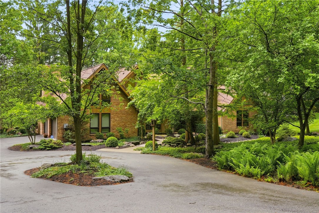 125 RIDING TRAIL