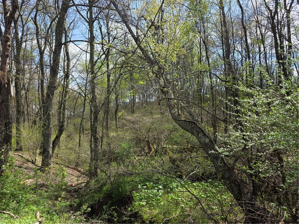 242 WALKER ROAD