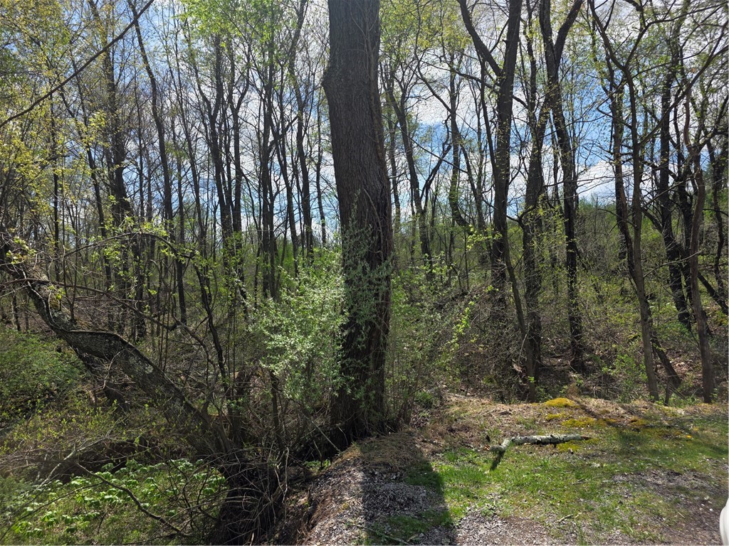 242 WALKER ROAD